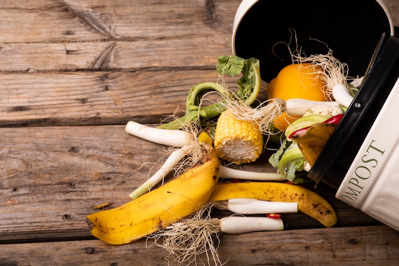 Why Can’t You Compost Cooked Food? The Answer Might Surprise You!