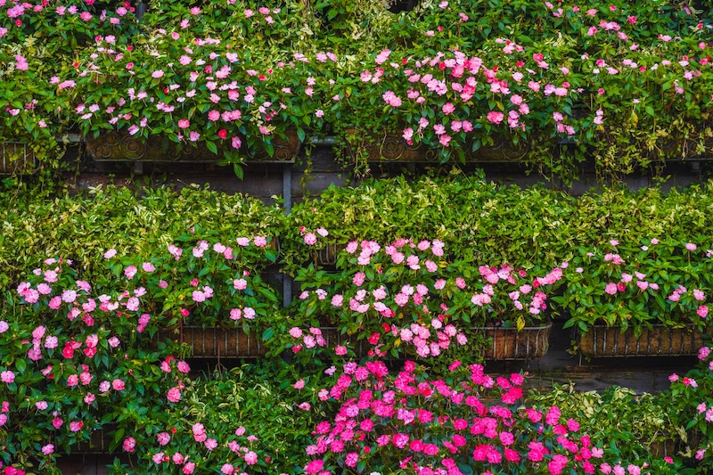 What Is a Vertical Garden?